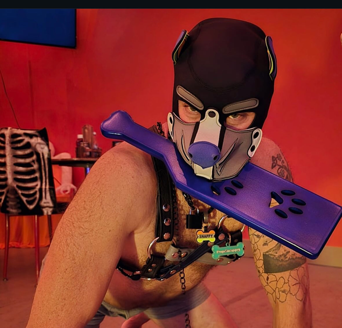 Paddles and Swatters