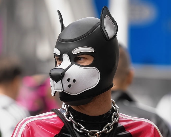 Pet Play