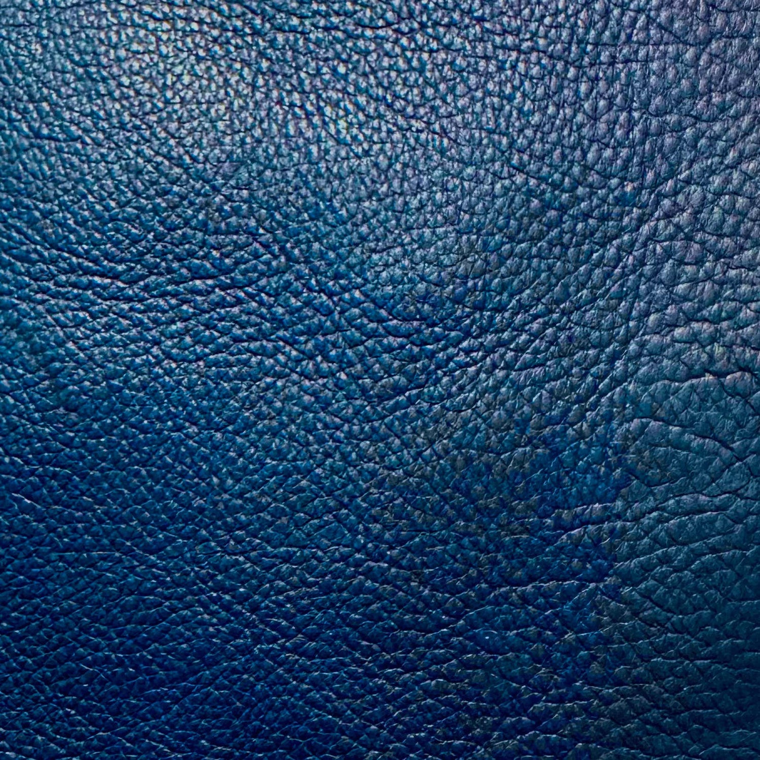 Montrose Forge Classic X Harness