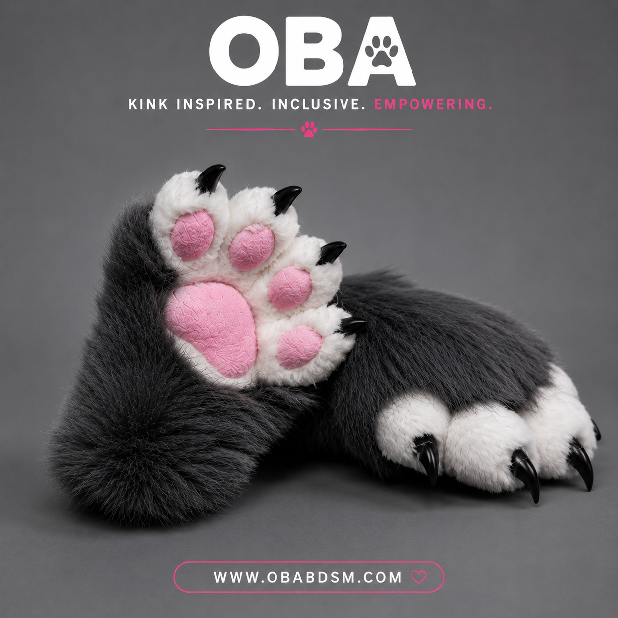 Purrrrfect Paws