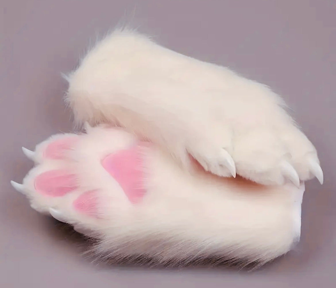 Purrrrfect Paws