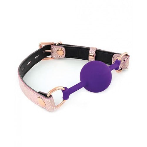 Pink Temptation Silicone Gag