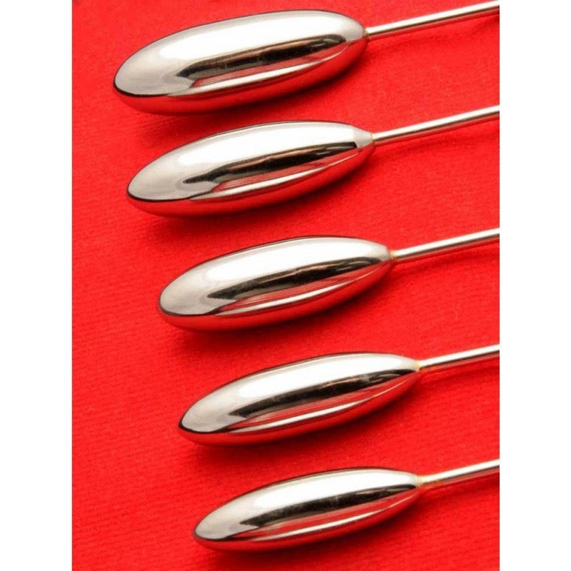 Rouge Stainless Steel Rosebud Urethral Dilator Set