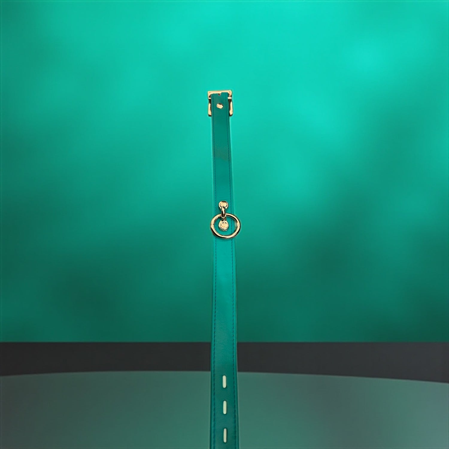 DH Leathers Lux Locking Collar