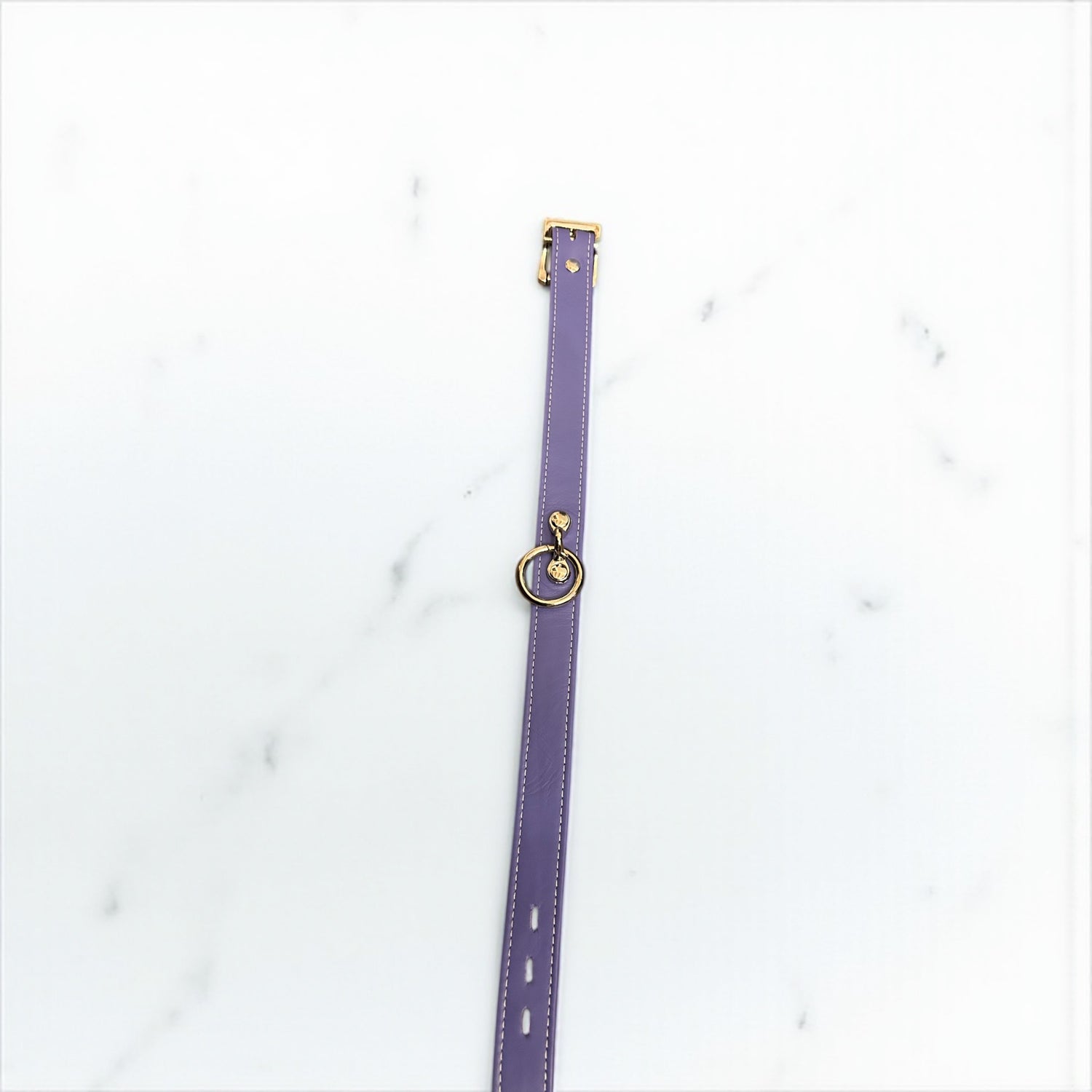 DH Leathers Lux Locking Collar