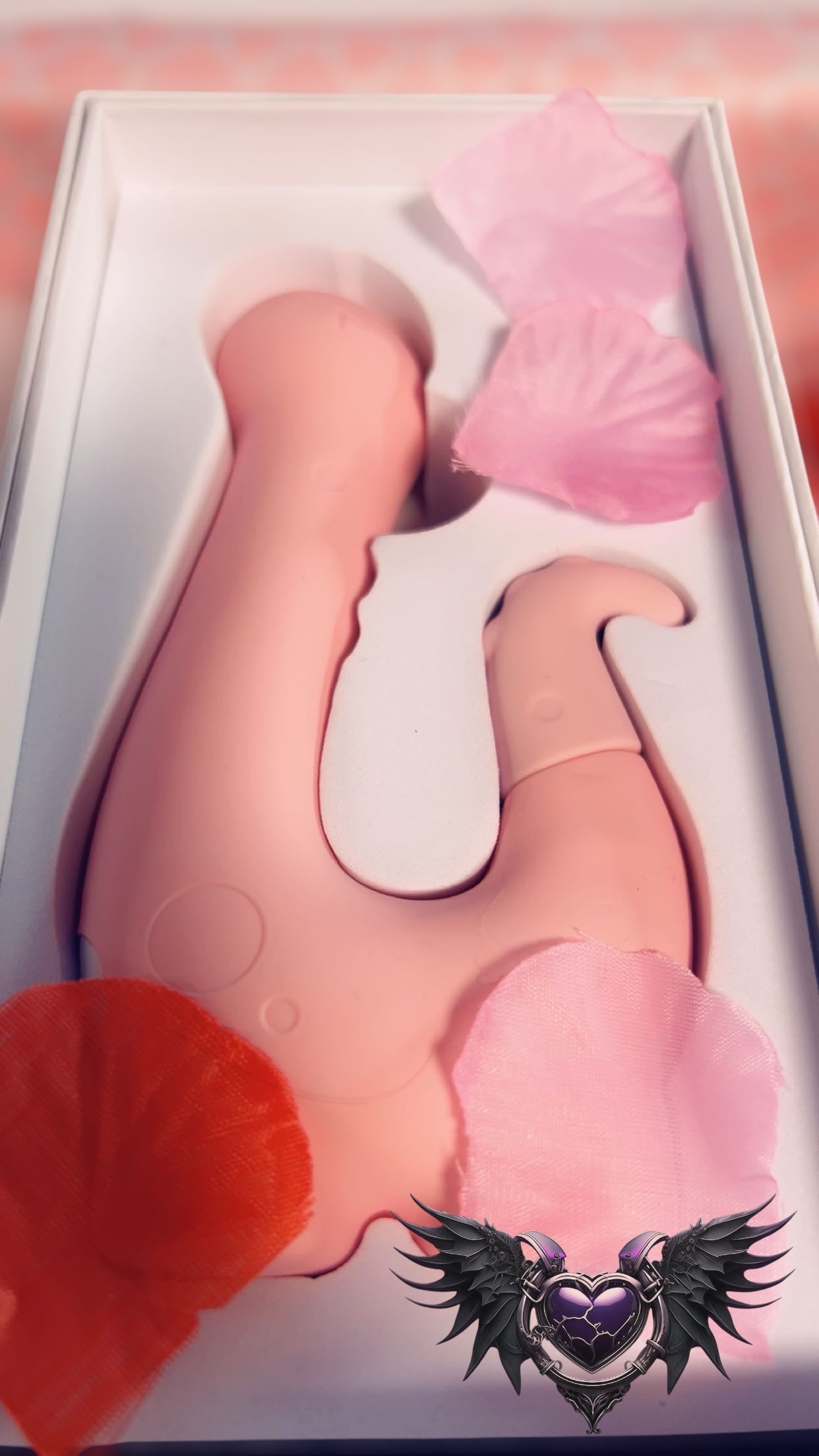 Valentines Day Surprise Box