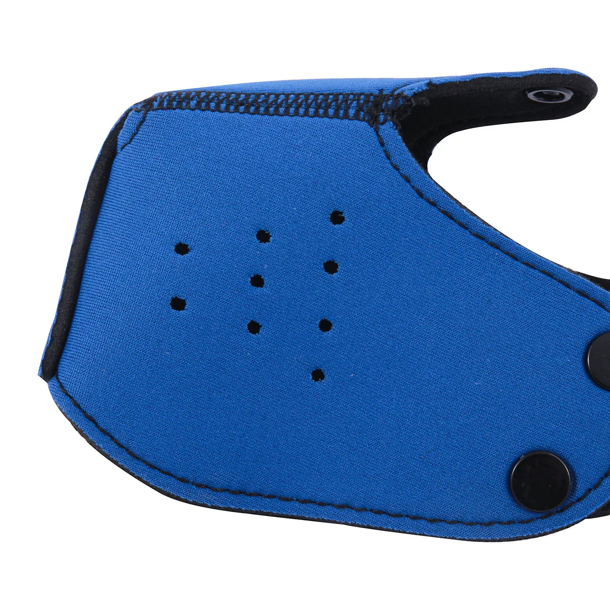 Puppy Play Muzzle Mask
