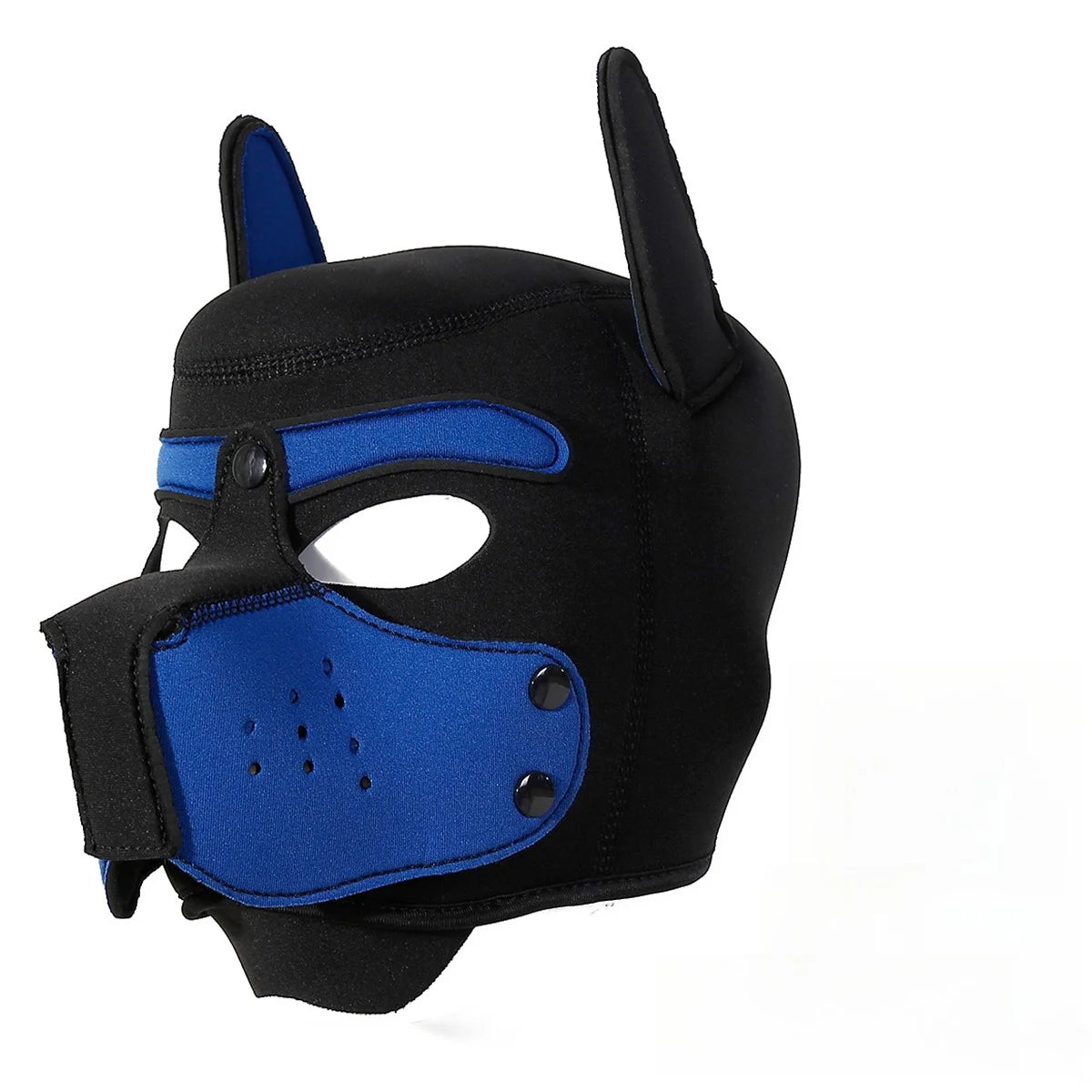 Pawfect Pup Hood