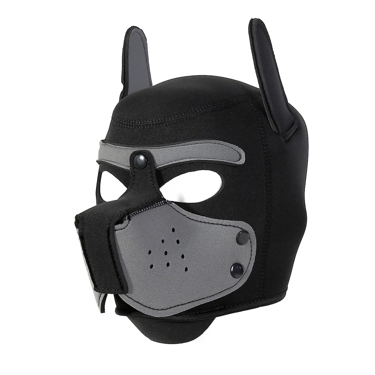 Pawfect Pup Hood