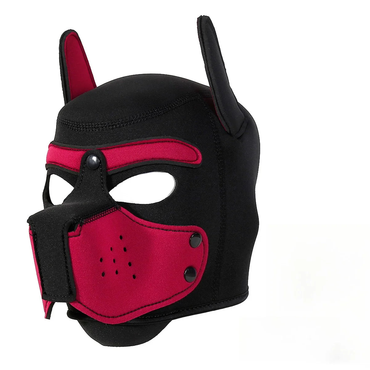 Pawfect Pup Hood