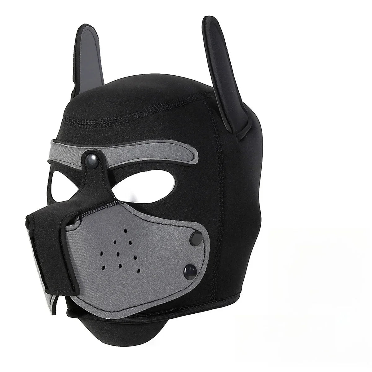 Pawfect Pup Hood