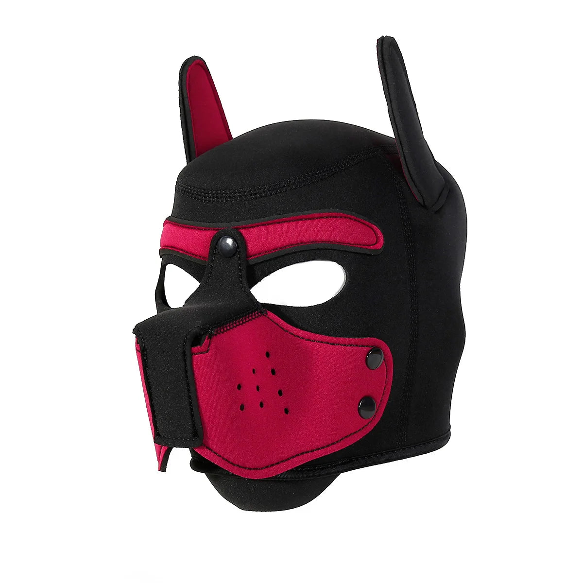 Pawfect Pup Hood