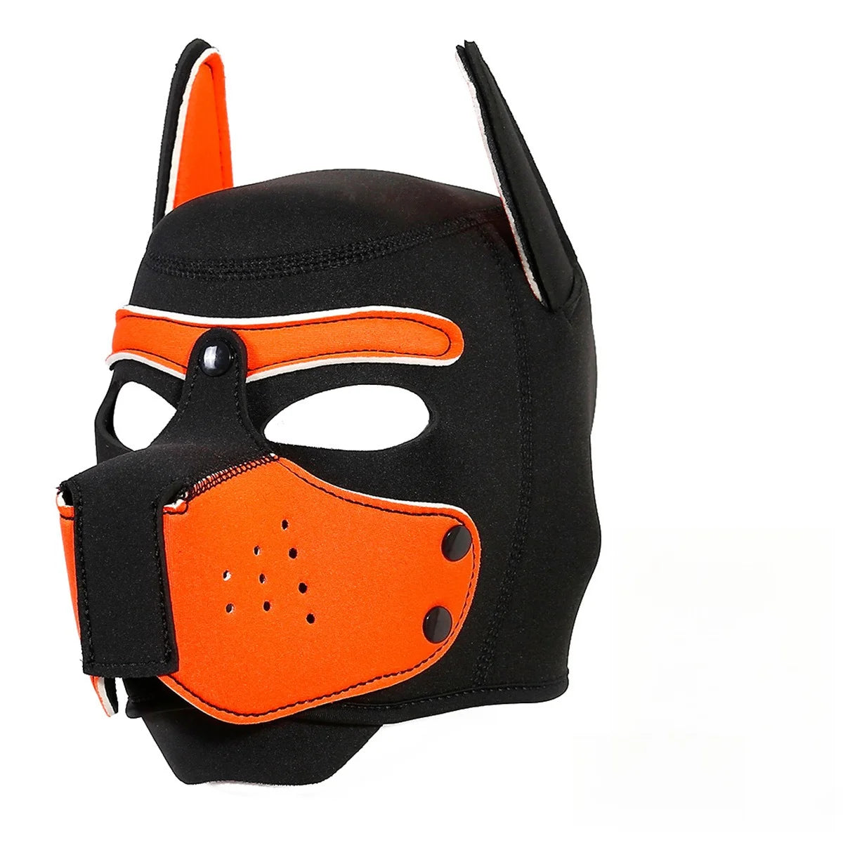 Pawfect Pup Hood