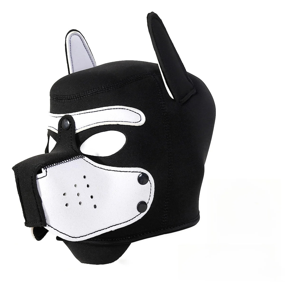 Pawfect Pup Hood