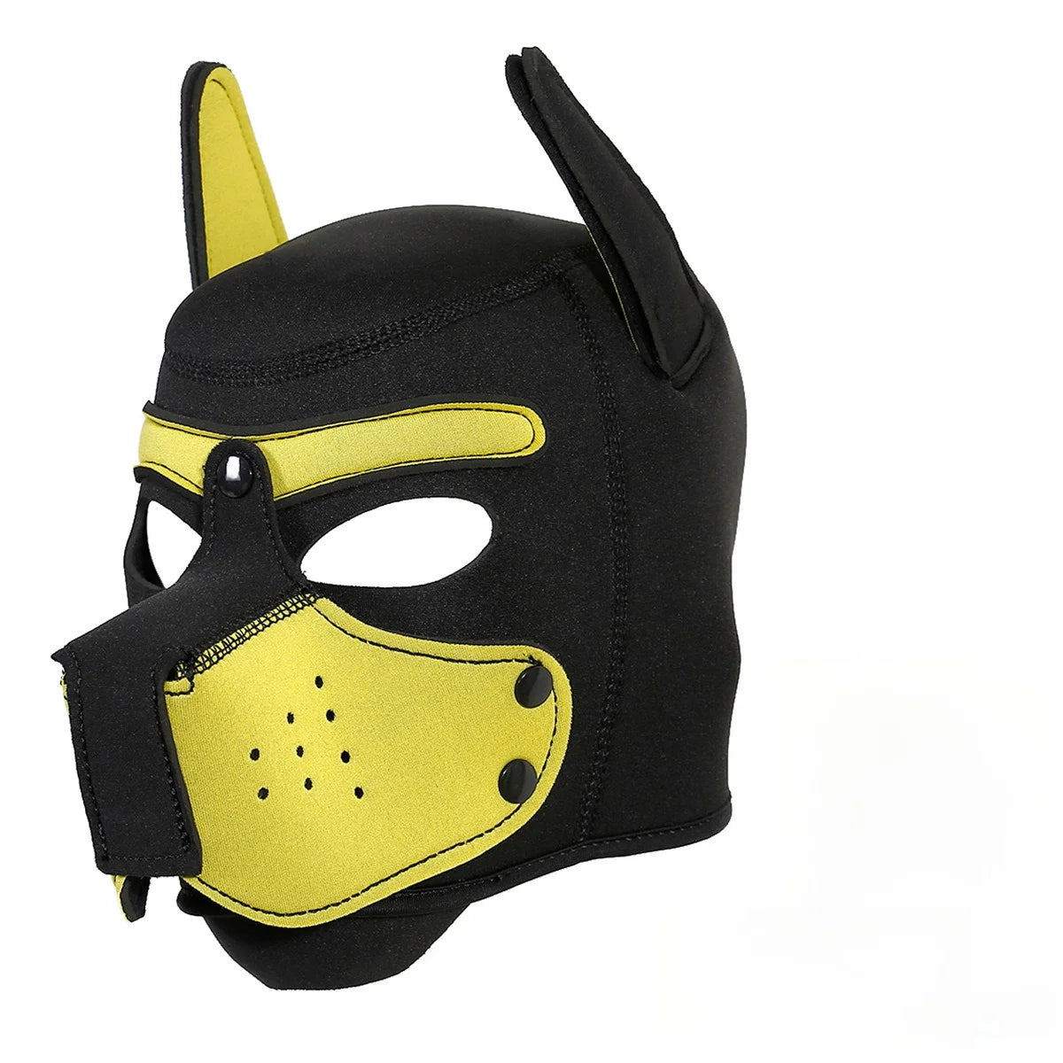 Pawfect Pup Hood
