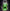 CREATURE COCKS CREATURE SLIME WATER BASED LUBE 16 OZ