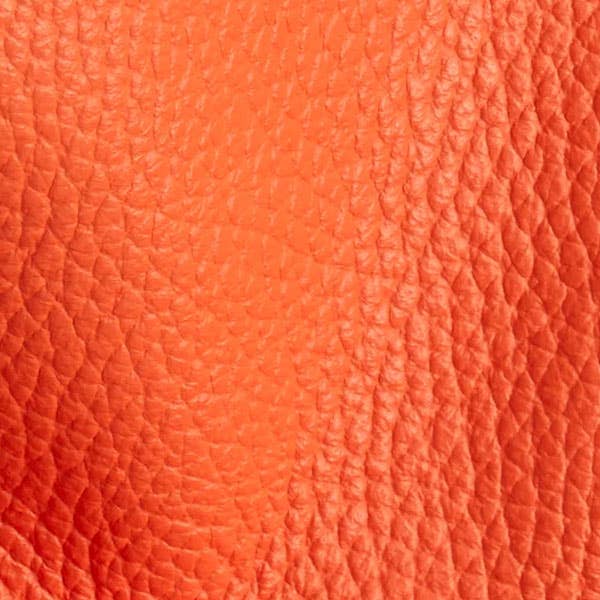 Montrose Forge  Locking Leather Collar