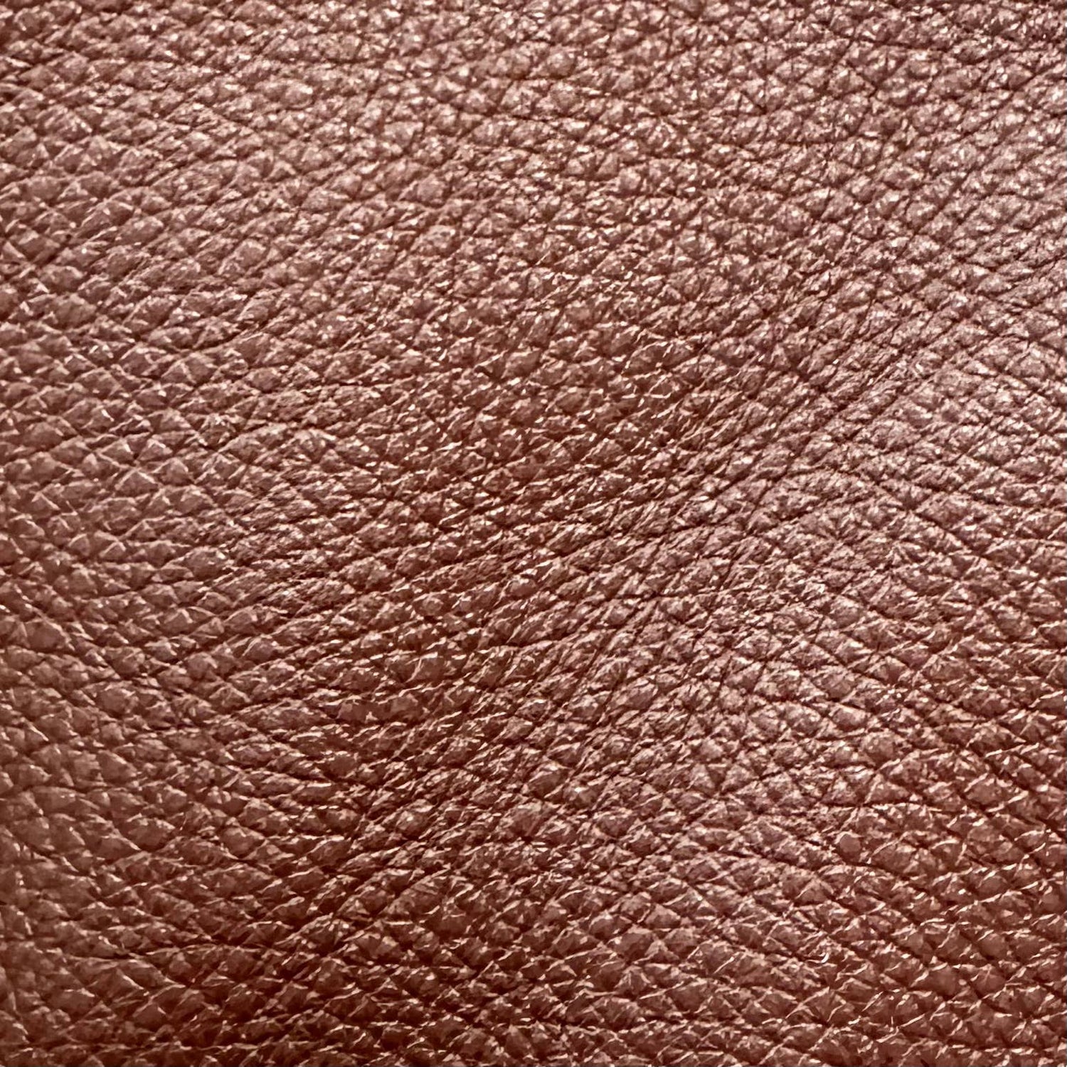 Montrose Forge  Locking Leather Collar